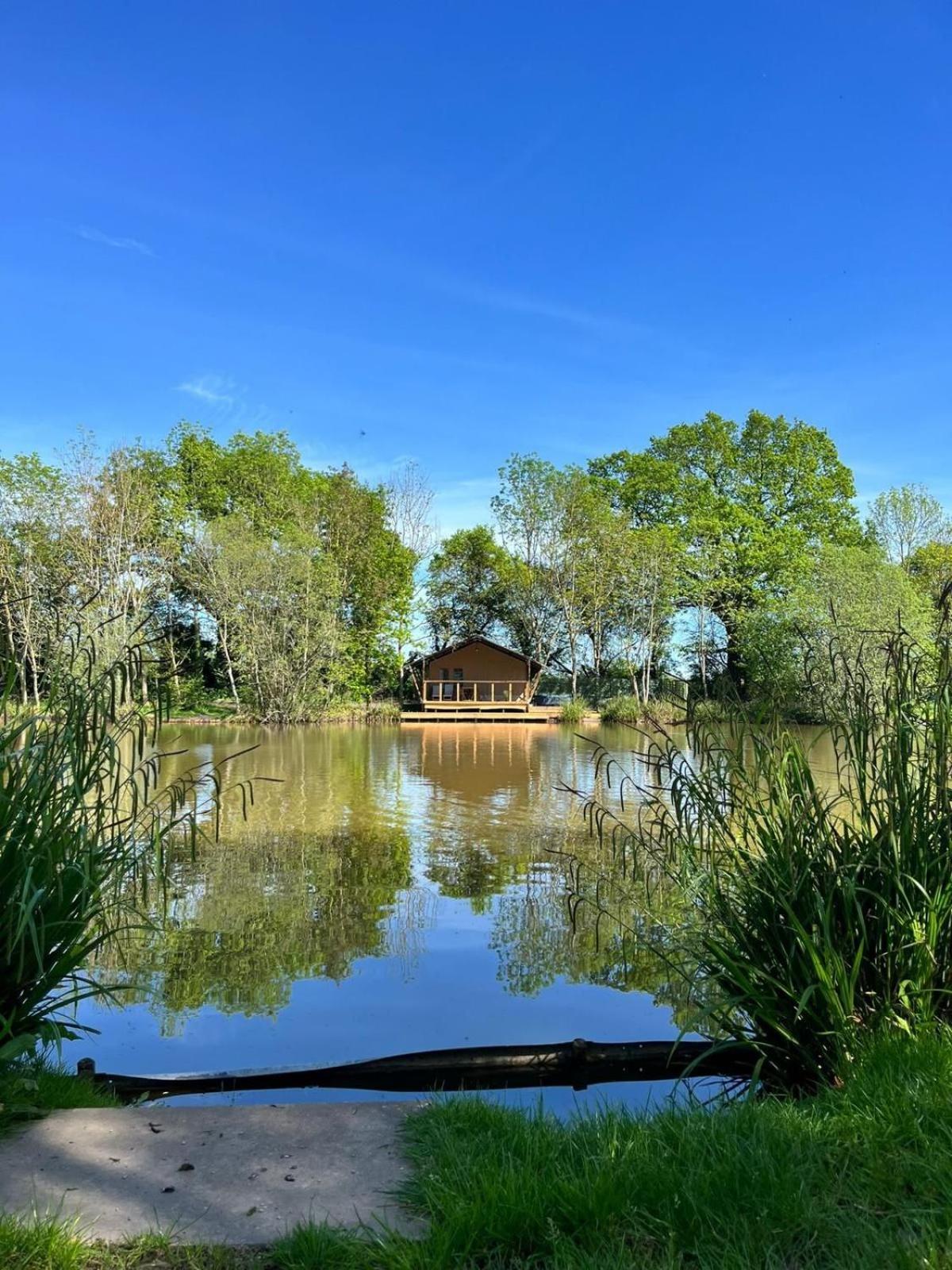 Teal Safari Tent Droitwich Eksteriør billede